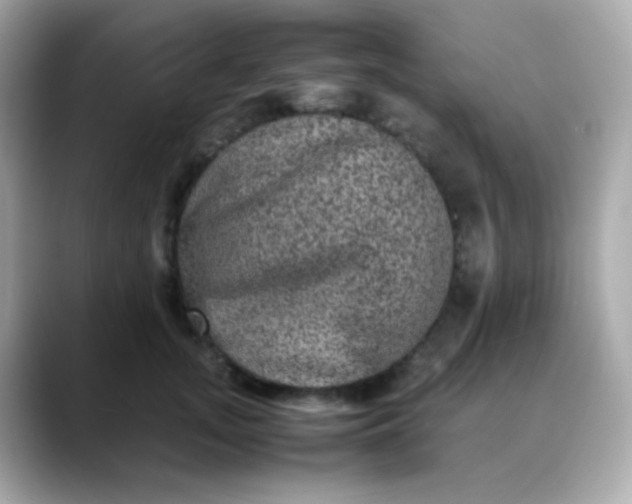 X0000088400755200706051135