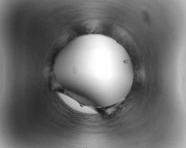 X0000088400756200706051135