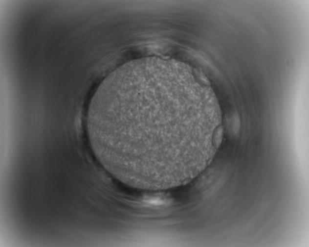 X0000088400757200706051135