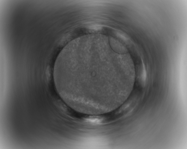 X0000088400758200706051135