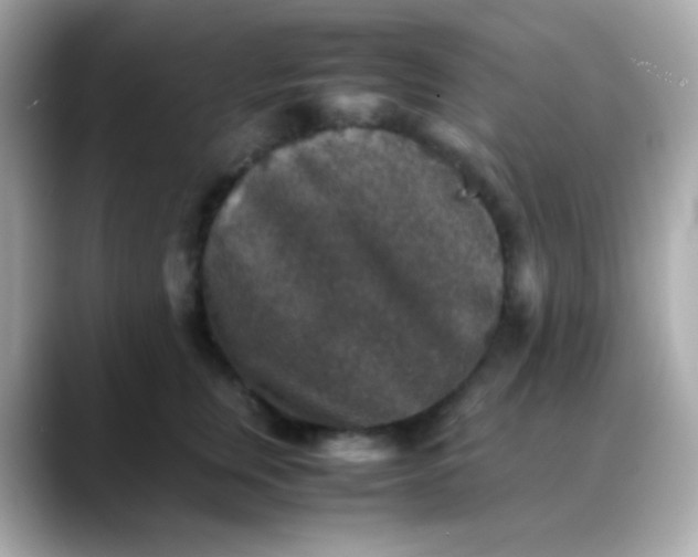 X0000088400759200706051135