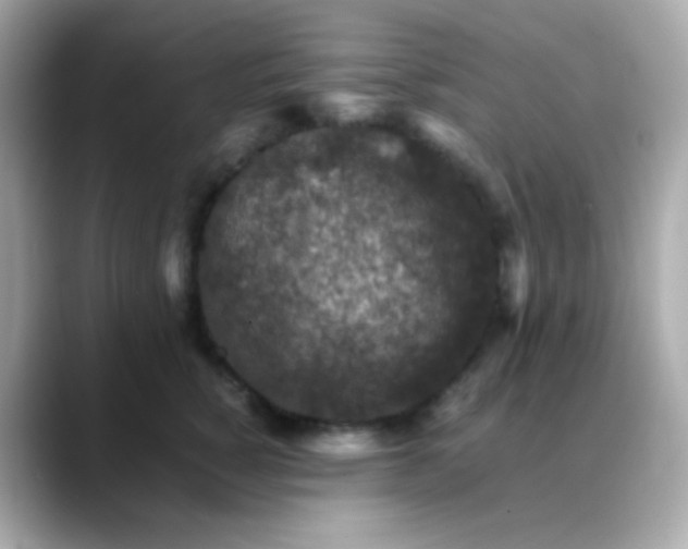 X0000088400760200706051135