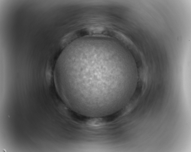 X0000088400761200706051135