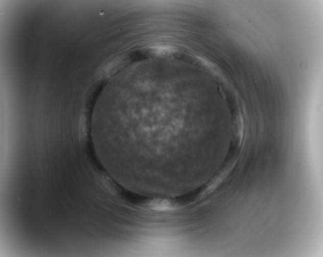 X0000088400762200706051135