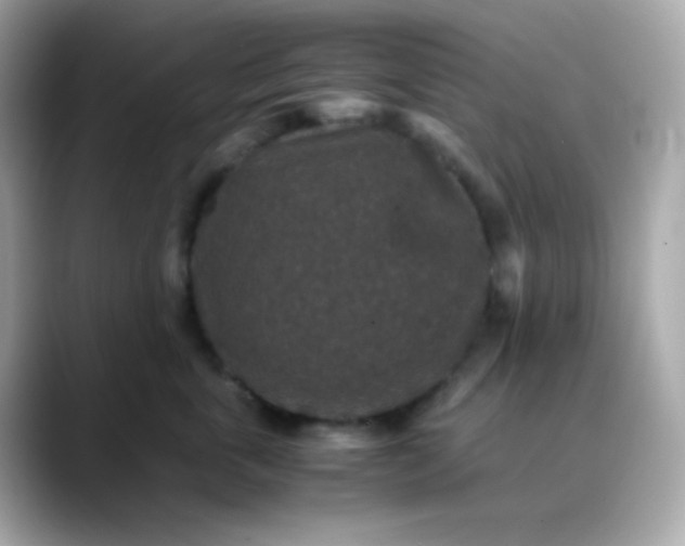 X0000088400763200706051135