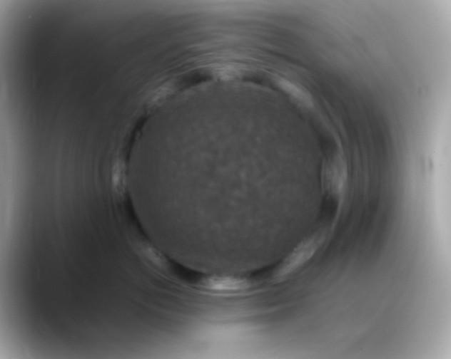 X0000088400766200706051136