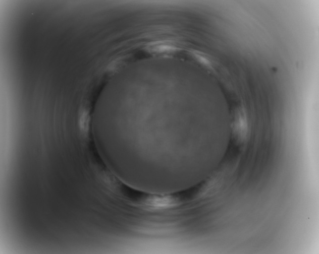 X0000088400767200706051136