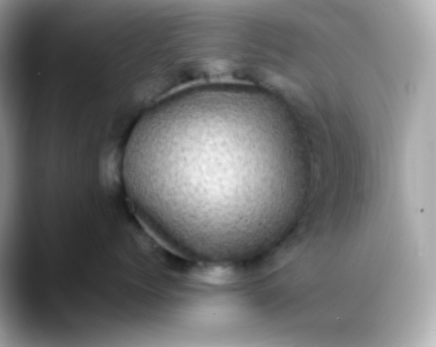 X0000088400768200706051136