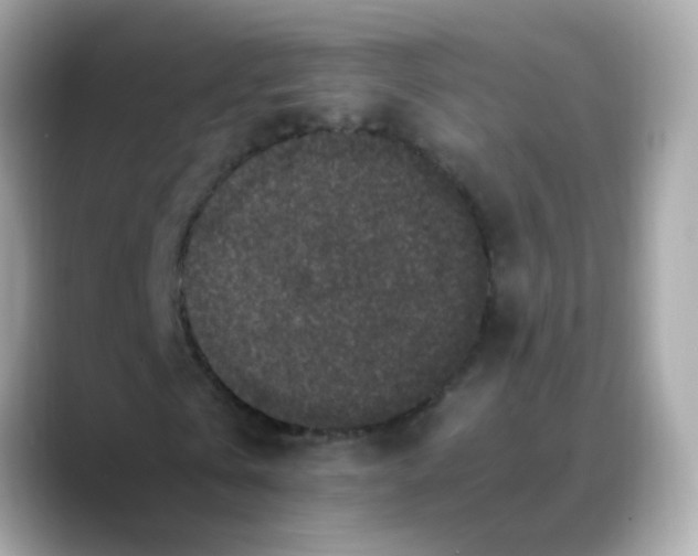 X0000088400769200706051135