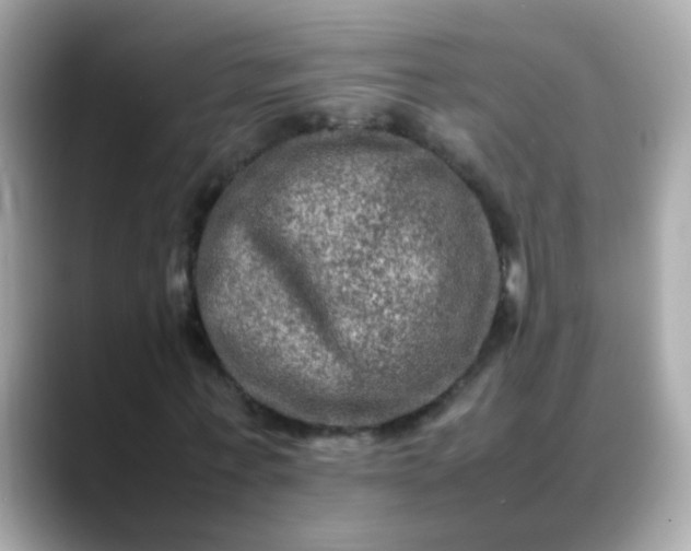 X0000088400771200706051135