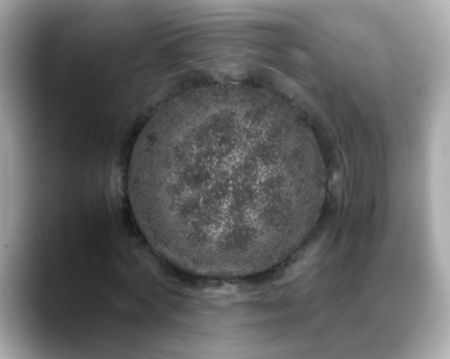 X0000088400772200706051135