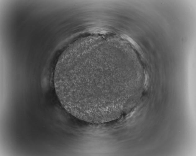 X0000088400775200706051135