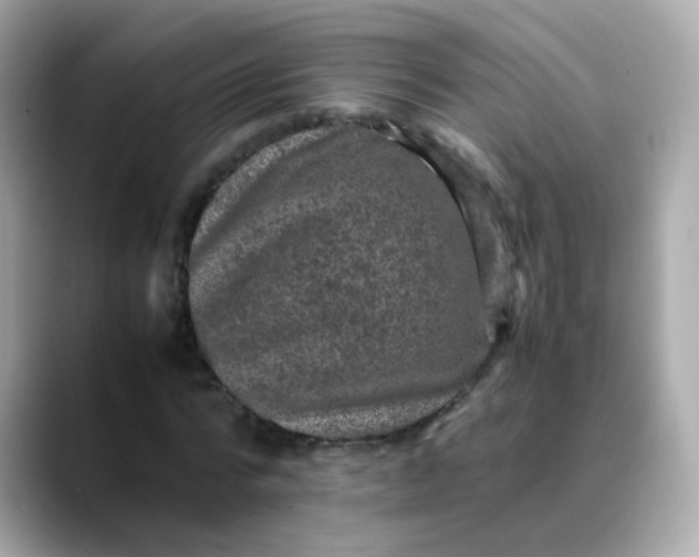 X0000088400776200706051135