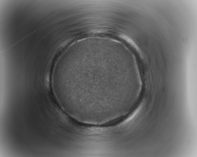 X0000088400777200706051135