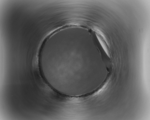 X0000088400779200706051135