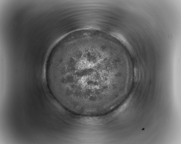 X0000088400780200706051135