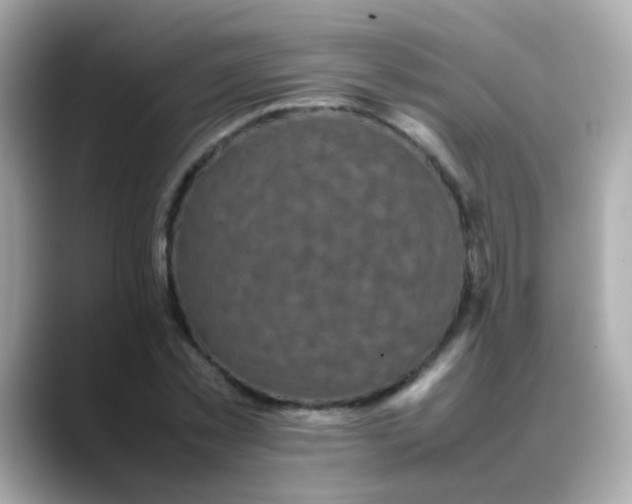 X0000088400781200706051135