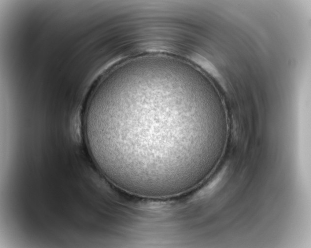 X0000088400782200706051135