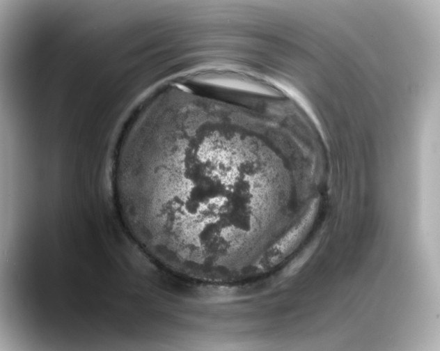 X0000088400783200706051135