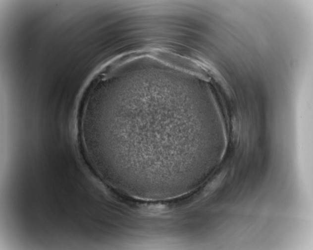 X0000088400784200706051135