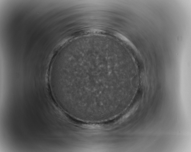 X0000088400785200706051135