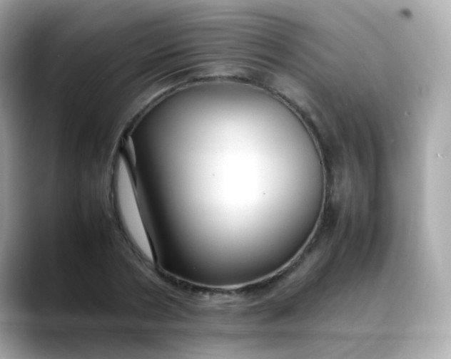 X0000088400786200706051135