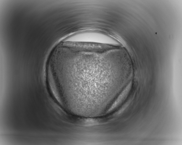 X0000088400787200706051135