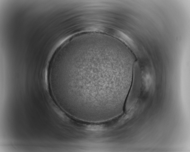 X0000088400788200706051135