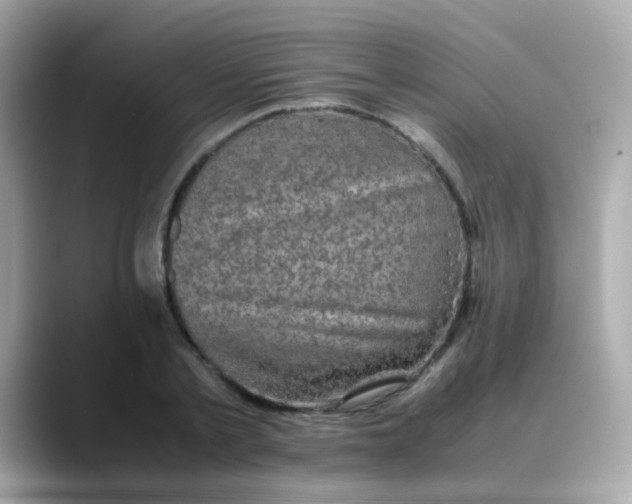 X0000088400789200706051135