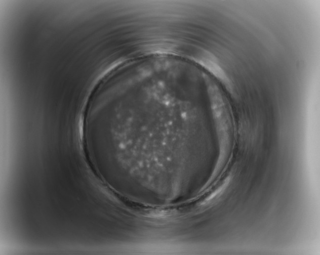 X0000088400790200706051135