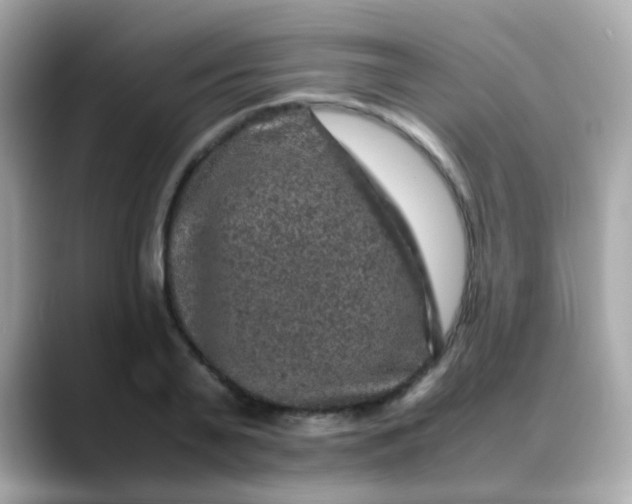 X0000088400791200706051135