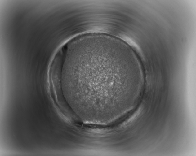 X0000088400792200706051135