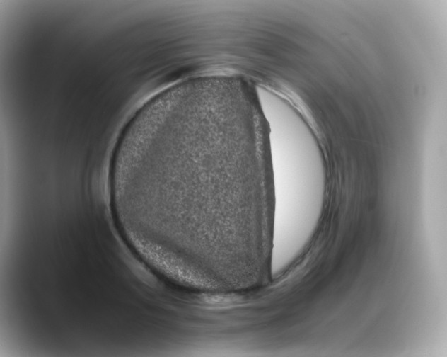 X0000088400795200706051135