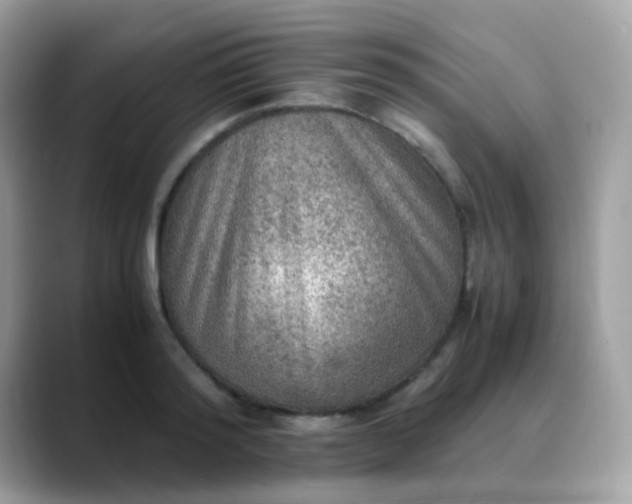 X0000088400796200706051135