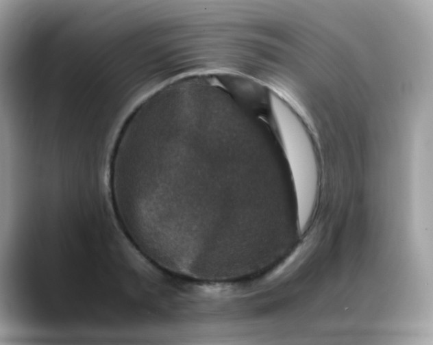 X0000088400797200706051135