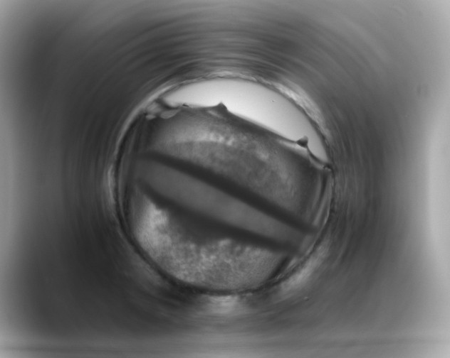 X0000088400798200706051135