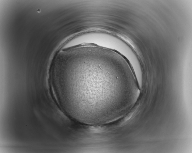 X0000088400799200706051135