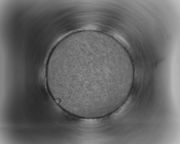 X0000088400800200706051135