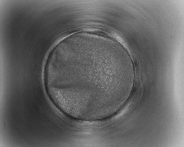 X0000088400803200706051135