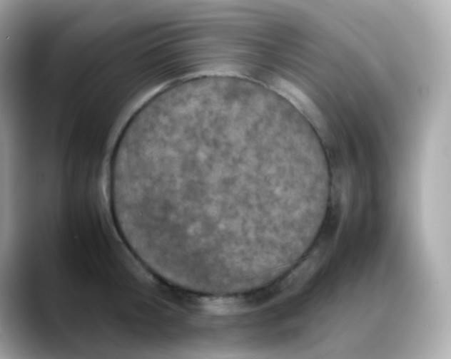 X0000088400804200706051135