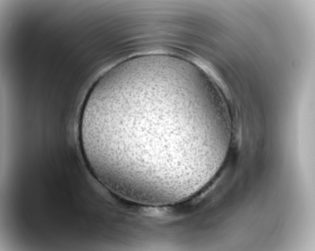 X0000088400805200706051135