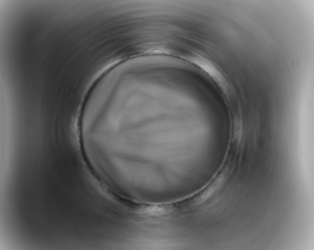 X0000088400806200706051135