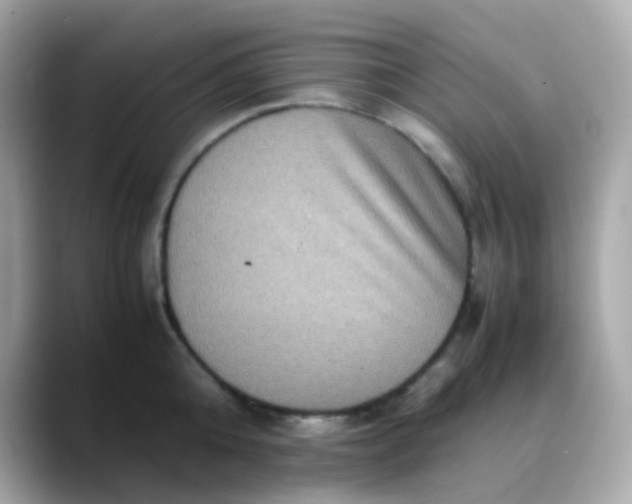 X0000088400808200706051135