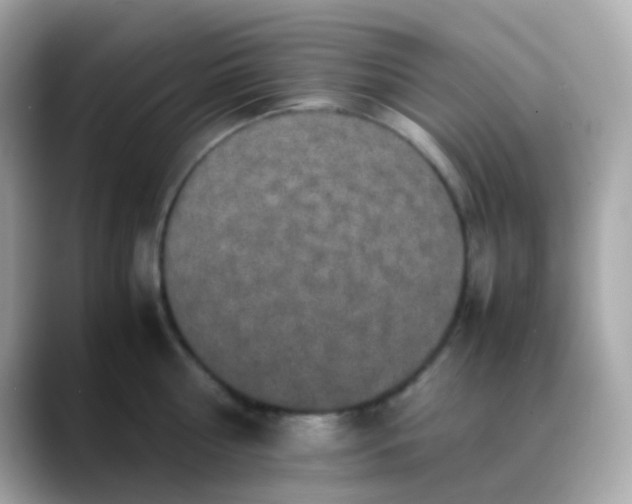 X0000088400810200706051135