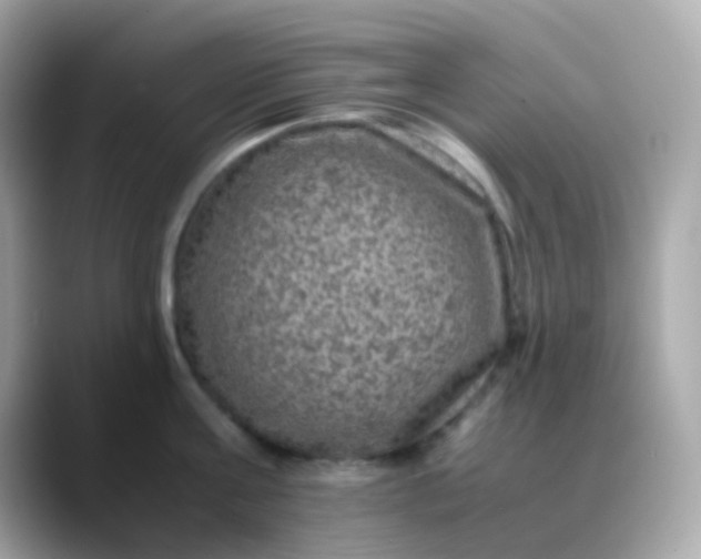 X0000088400811200706051135