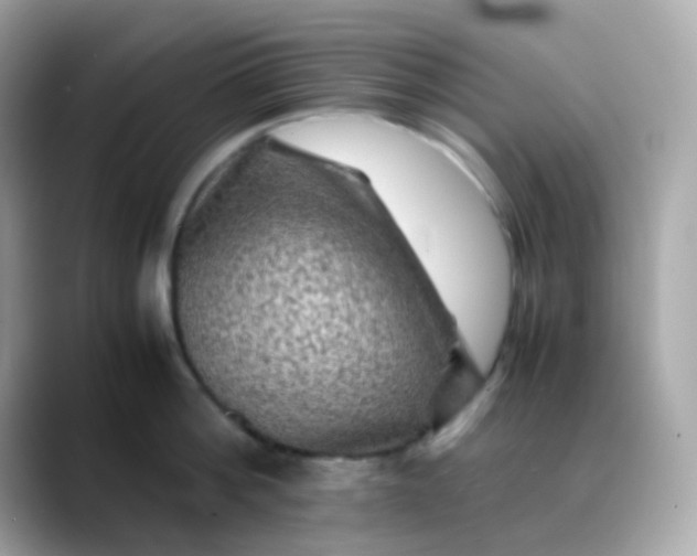 X0000088400812200706051134