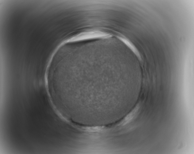 X0000088400813200706051134