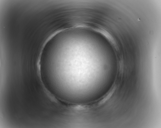 X0000088400814200706051134