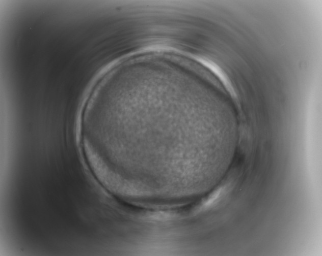 X0000088400815200706051134