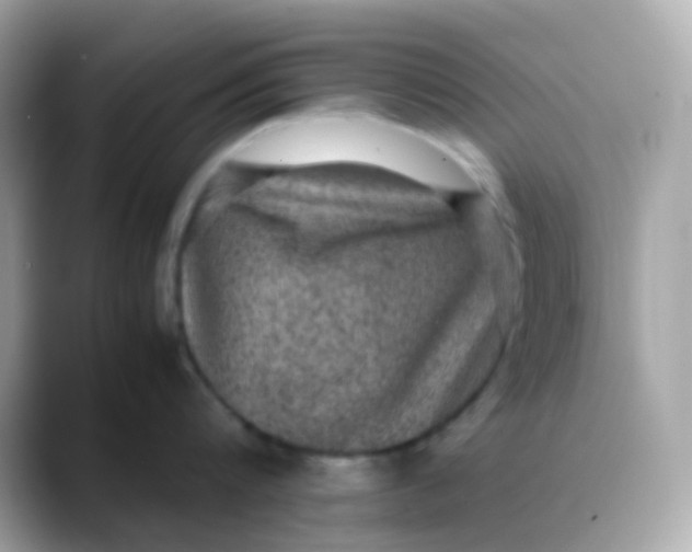 X0000088400816200706051134